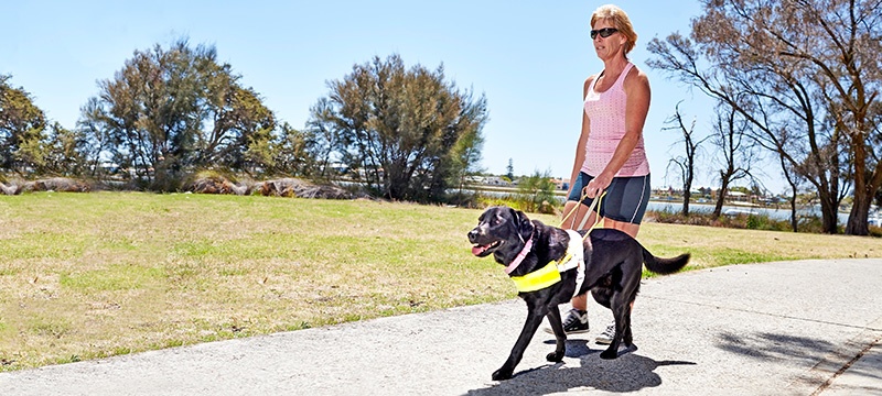 Jayne and Guide Dog Cali in harness