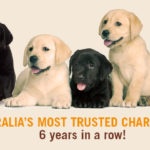 Six labrador puppies. Text reads Australia's Most Trust Charity 2018, 6 years in a row!