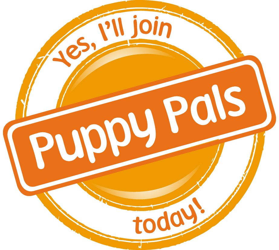 A Puppy Pal Guide Dogs WA