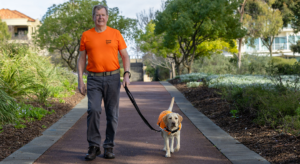 Man walking his dog on a lead