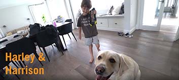 Harley and Harrison