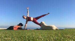 Woman doing yoga with two labradors