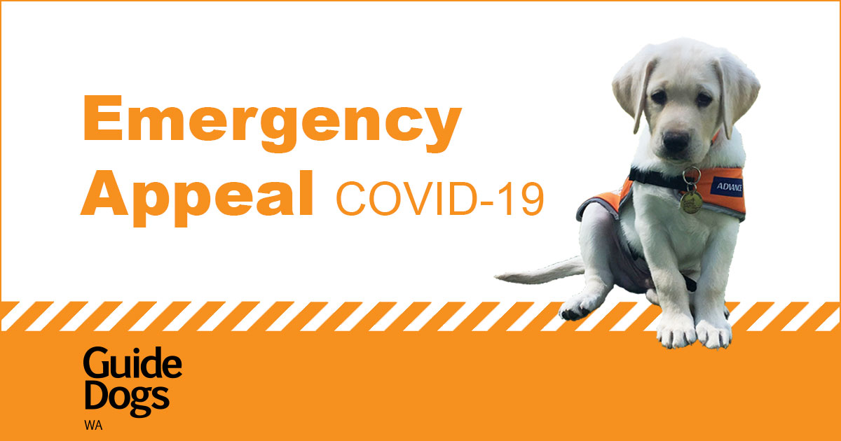 Guide Dogs WA Guide & Assistance Dog Providers In WA