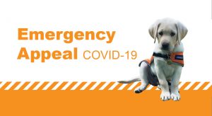 Yellow labrador in orange jacket sits facing the camera. Orange text reading Emergency Appeal COVID-19 is overlaid on the image