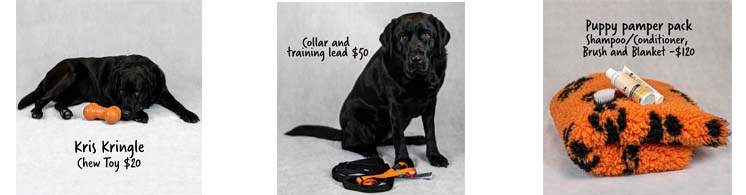 Montage of images showing black dog with puppy gifts