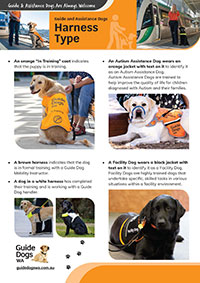 How-to-Identify-Guide-&-Assistance-Dogs-Poster-A4200 Poster showing Assistance Dogs depicting the differences in in harness and