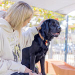 Young woman sitting on brown training bench with black Guide Dog in training.