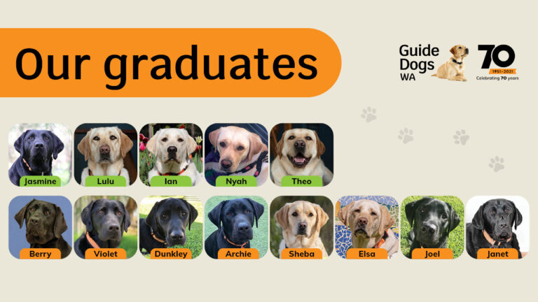 Image of graduating dogs and Guide Dogs WA logo. Text reads: Our graduates. Jasmine, Lulu, Ian, Nyah, Theo, Berry, Violet, Dunkley, Archie, Sheba, Elsa, Joel, Janet.