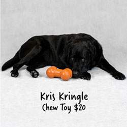 Black labrador lies on the floor next to an orange chew toy