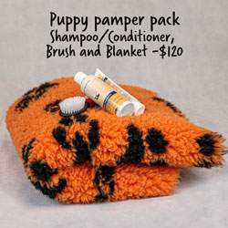 Orange blanket with pawprint pattern with shampoo bottle and brush