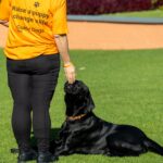 Unidentified woman in Guide Dogs WA shirt gives a puppy a treat.